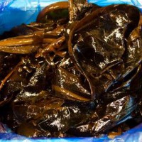 1509004_780107632019188_1038588525_n